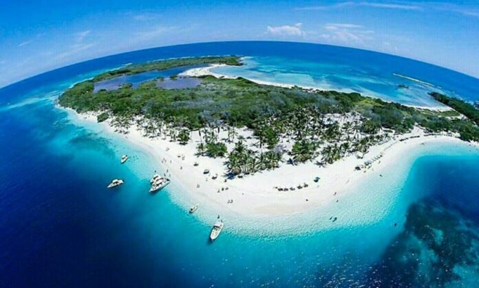 reforzaran-proteccion-morrocoy reforzaran-proteccion-morrocoy