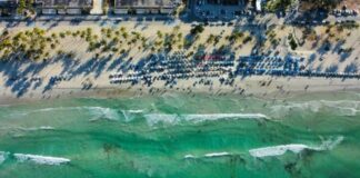 Carnavales de Paz en Venezuela cuentan con la participación de al menos 7 millones de personas