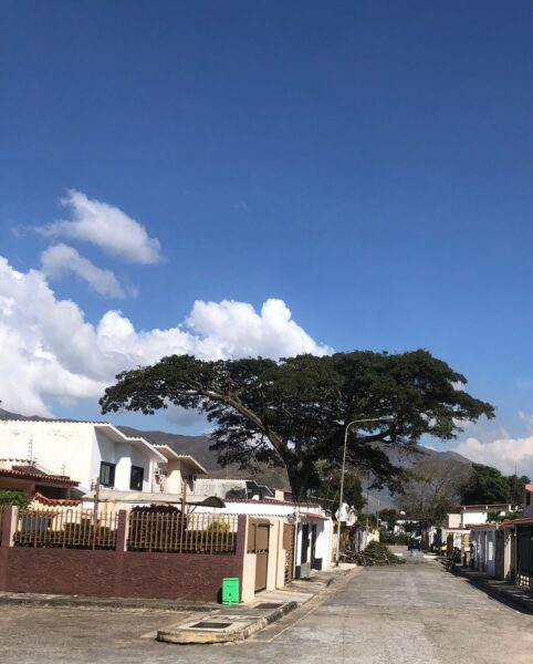 Apuntes de Amanaú