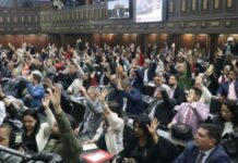 articulos-ley-amnistia