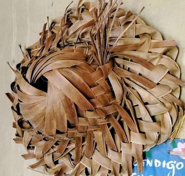 Yolanda Mijares-cesta B