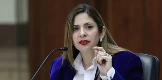 Diputada Nora Bracho