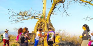 Senderistas denuncian agresión contra árbol