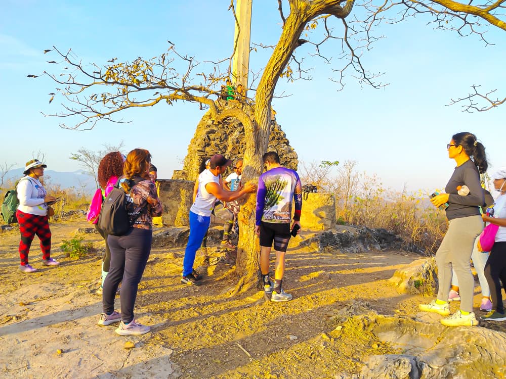 Senderistas denuncian agresión contra árbol Senderistas denuncian agresión contra árbol