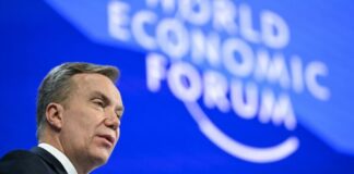 Director de WEF