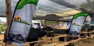 Expoferia Ganadera