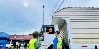 Restricción vehículos de carga