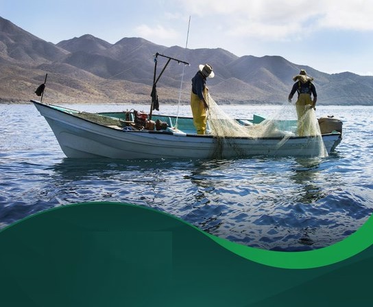 pesca Seminario virtual "Mares, Ríos y algo Más"