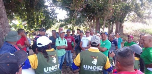 Producción agrícola en Carabobo