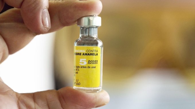vacuna Vacunación contra la fiebre amarilla