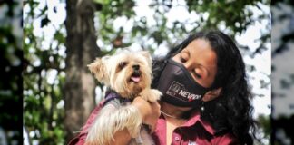 800 atenciones veterinarias