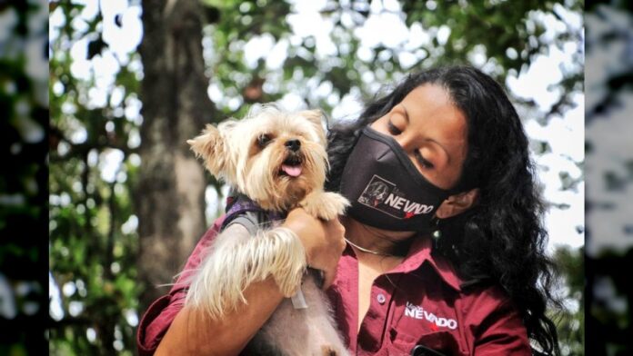 800 atenciones veterinarias