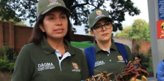 Son reforzados los controles ante tráfico ilegal de flora y fauna en Colombia