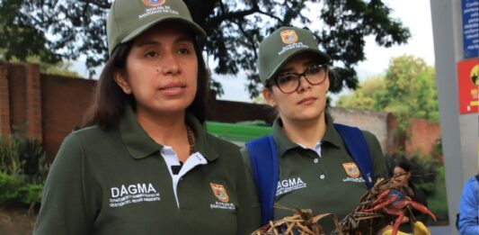 Son reforzados los controles ante tráfico ilegal de flora y fauna en Colombia