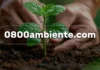 Ecosocialismo activa página web para recibir denuncias ambientales