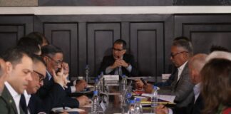 libertades plenas Amnistía