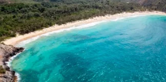 desmintio-privatizacion-playas