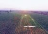 Brasil: Cartografían tierras agrícolas abandonadas en el Cerrado con IA Tierras abandonadas en Brasil