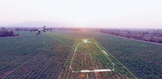 Tierras abandonadas en Brasil
