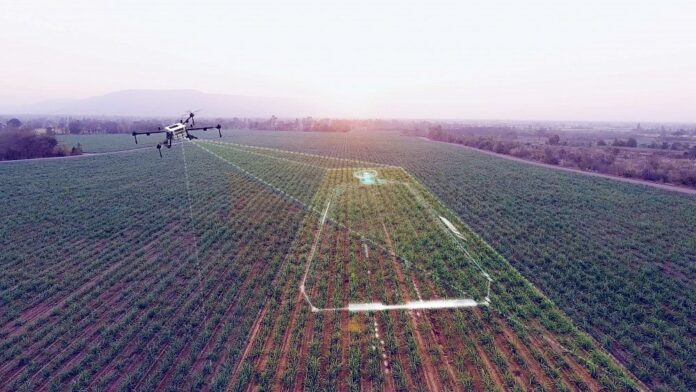 Brasil cartografía con IA Tierras abandonadas en Brasil