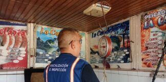 Fiscalización con verificación de balanzas