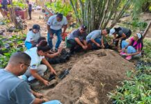 Misión Árbol fortalece la producción en viveros de La Guaira, Apure y el Zulia Misión Árbol