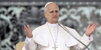 Dos nuevos obispos auxiliares