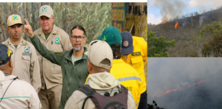 contencion-grandes-incendios