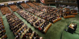 Desempeño actual del Consejo de DDHH