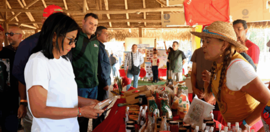 delcy-transferencia-recursos-comunas