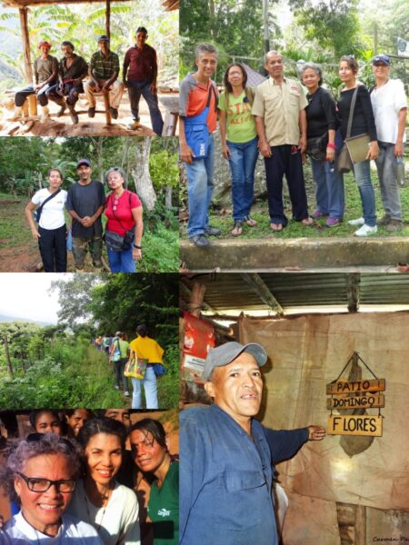 guerreros nocturnos-Crónicas del peatón-fotos