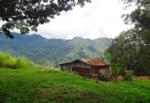 guerreros nocturnos-portada-Crónicas del peatón-Vigirima