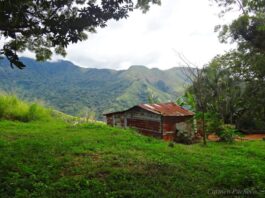 guerreros nocturnos-portada-Crónicas del peatón-Vigirima