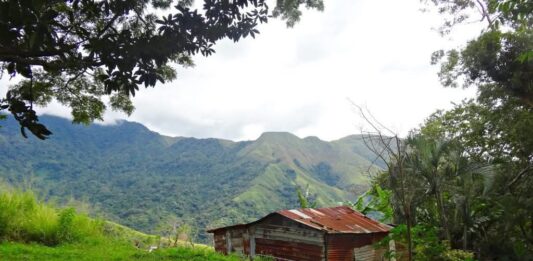 guerreros nocturnos-portada-Crónicas del peatón-Vigirima