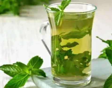 menta La Menta