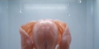 Útero fuera del cuerpo humano