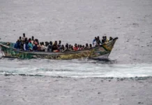 OIM reportó que durante 2025 casi 8 mil migrantes fallecieron en rutas internacionales