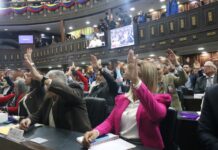 Ley Orgánica de Minas