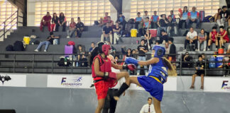 Wushu