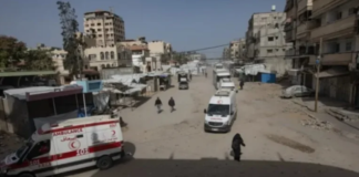 Dos trabajadores de la Unicef fueron asesinados en ataque israelí en Gaza