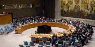 Consejo de seguridadf