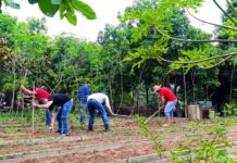 Agricultura urbana se afianza como pilar de soberanía alimentaria en las comunas