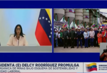 Ley Orgánica de Minas