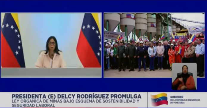 Ley Orgánica de Minas