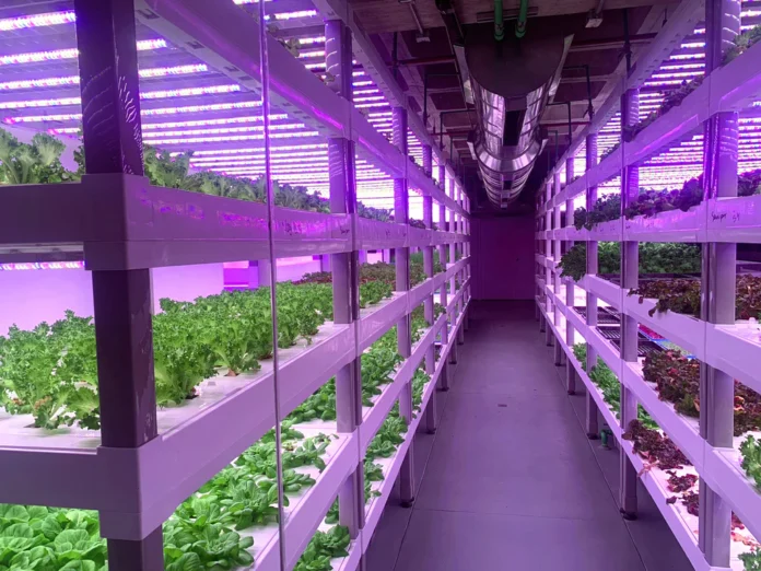 Venezuela revoluciona con la Agricultura Climáticamente Inteligente