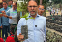 Ñáñez: Plan Chuquisaca es el proyecto de reforestación más grande en Latinoamérica