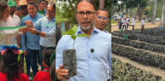 Ñáñez: Plan Chuquisaca es el proyecto de reforestación más grande en Latinoamérica