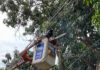 Despliegan Plan Cayapa Eléctrico en varios sectores de Guacara plan cayapa