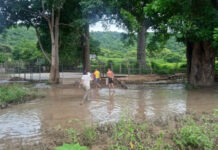 Gobernación de Lara declaró emergencia en Palmarito tras crecida del río Agua