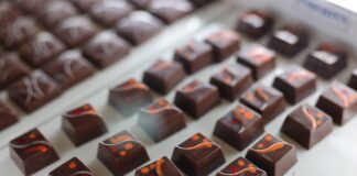 Venezuela participara en el ShowColat Festival 2026